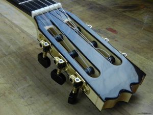 Paco Chorobo Concierto Pinpilipauxa Cabeza