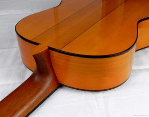 Paco-Chorobo-La-Leona07