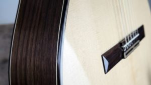 Paco-Chorobo-Nyx-Puente